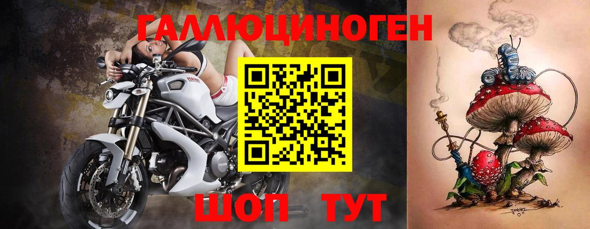 Корсаков  Псилоцибиновые грибы Psilocybine cubensis  Вход с VPN 